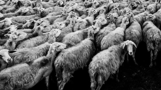 Multi Process Task Queue in 100 Lines of R Code